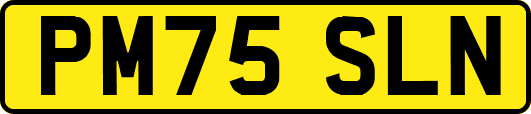 PM75SLN