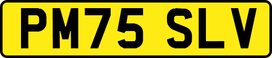 PM75SLV