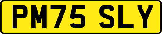 PM75SLY