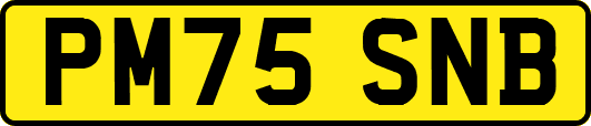 PM75SNB