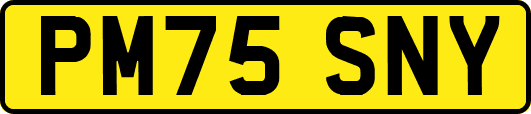 PM75SNY