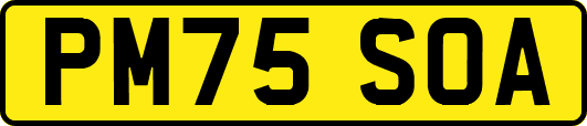PM75SOA