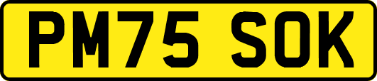 PM75SOK