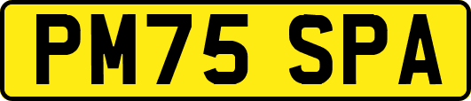 PM75SPA