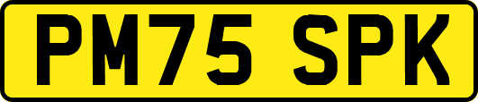 PM75SPK
