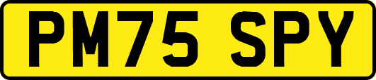 PM75SPY