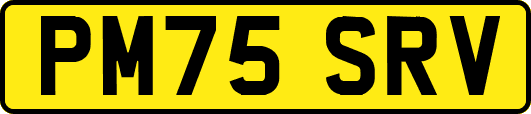 PM75SRV