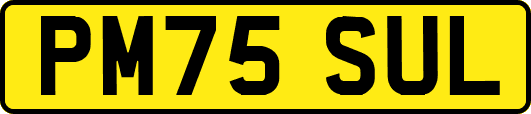 PM75SUL