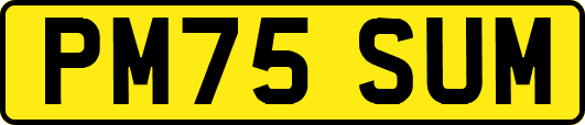PM75SUM
