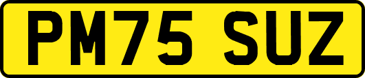 PM75SUZ