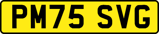 PM75SVG