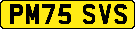 PM75SVS