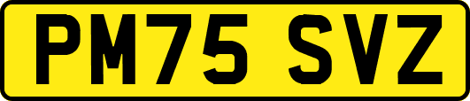PM75SVZ