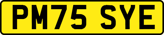 PM75SYE