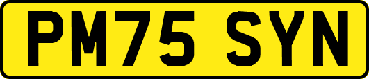 PM75SYN