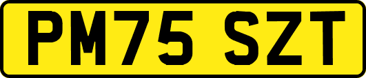 PM75SZT