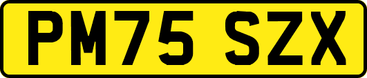 PM75SZX