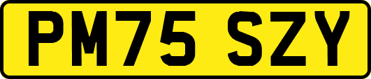 PM75SZY
