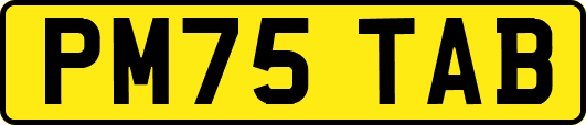 PM75TAB