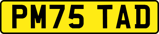PM75TAD