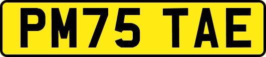 PM75TAE