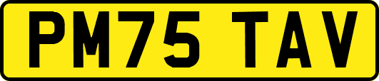 PM75TAV