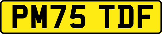 PM75TDF