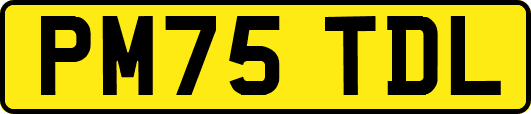 PM75TDL
