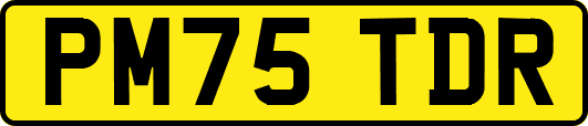 PM75TDR