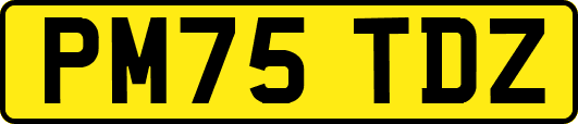 PM75TDZ