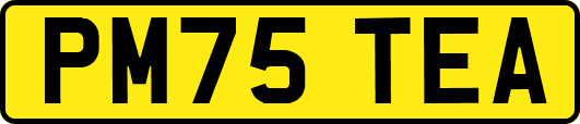 PM75TEA