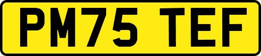 PM75TEF