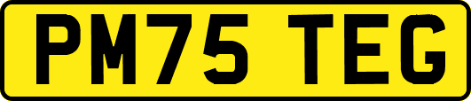 PM75TEG