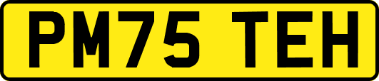PM75TEH