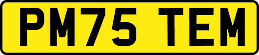 PM75TEM