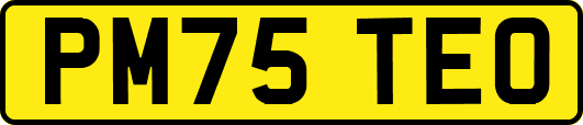PM75TEO