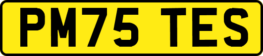 PM75TES
