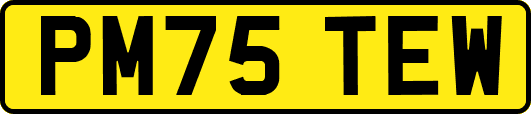 PM75TEW