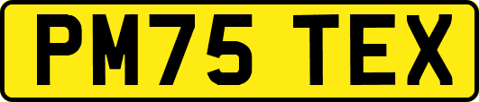 PM75TEX