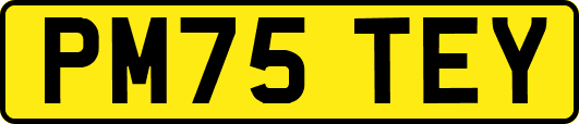 PM75TEY