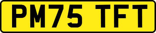 PM75TFT