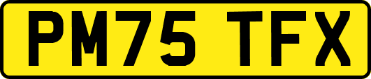 PM75TFX
