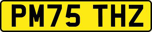 PM75THZ