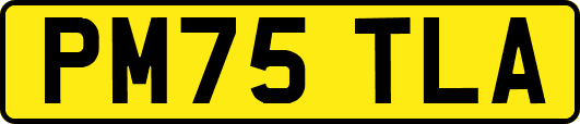 PM75TLA