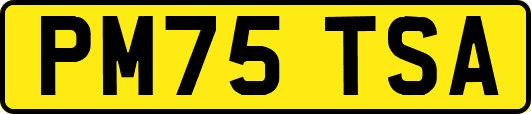 PM75TSA