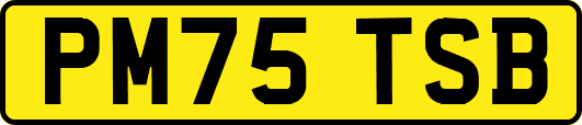 PM75TSB