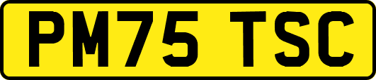 PM75TSC