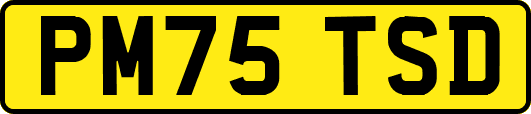 PM75TSD