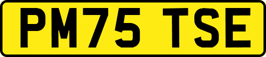 PM75TSE