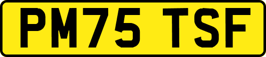 PM75TSF